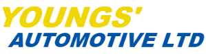 Youngs' Automotive Ltd - (Oakville, ON)